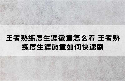 王者熟练度生涯徽章怎么看 王者熟练度生涯徽章如何快速刷